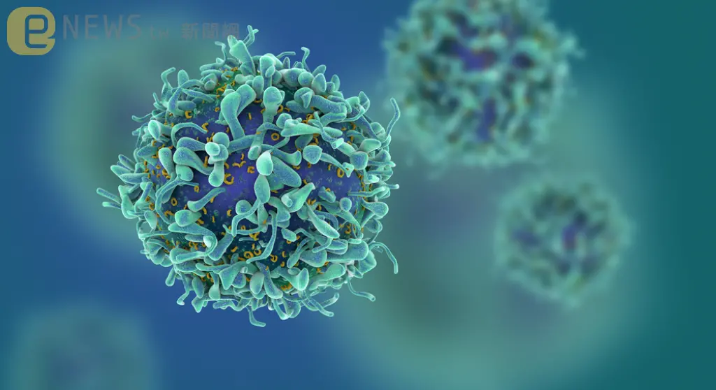 伊波拉疫情再爆發！已有17名「疑似病例」亡　病毒持續蔓延