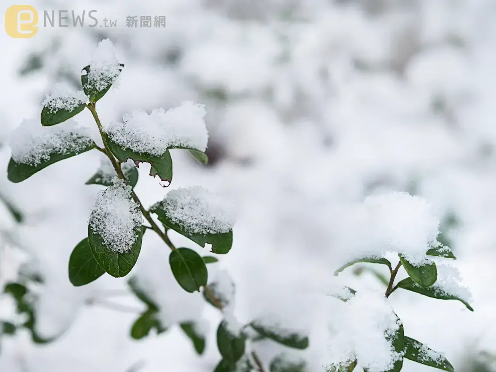 12月7日迎大雪！7習俗「吃地瓜、紅薯」禦寒又可防中風
