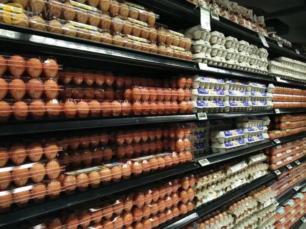 國內雞蛋日產2400萬顆！蛋價連3降　農業部宣布：將暫緩進口雞蛋