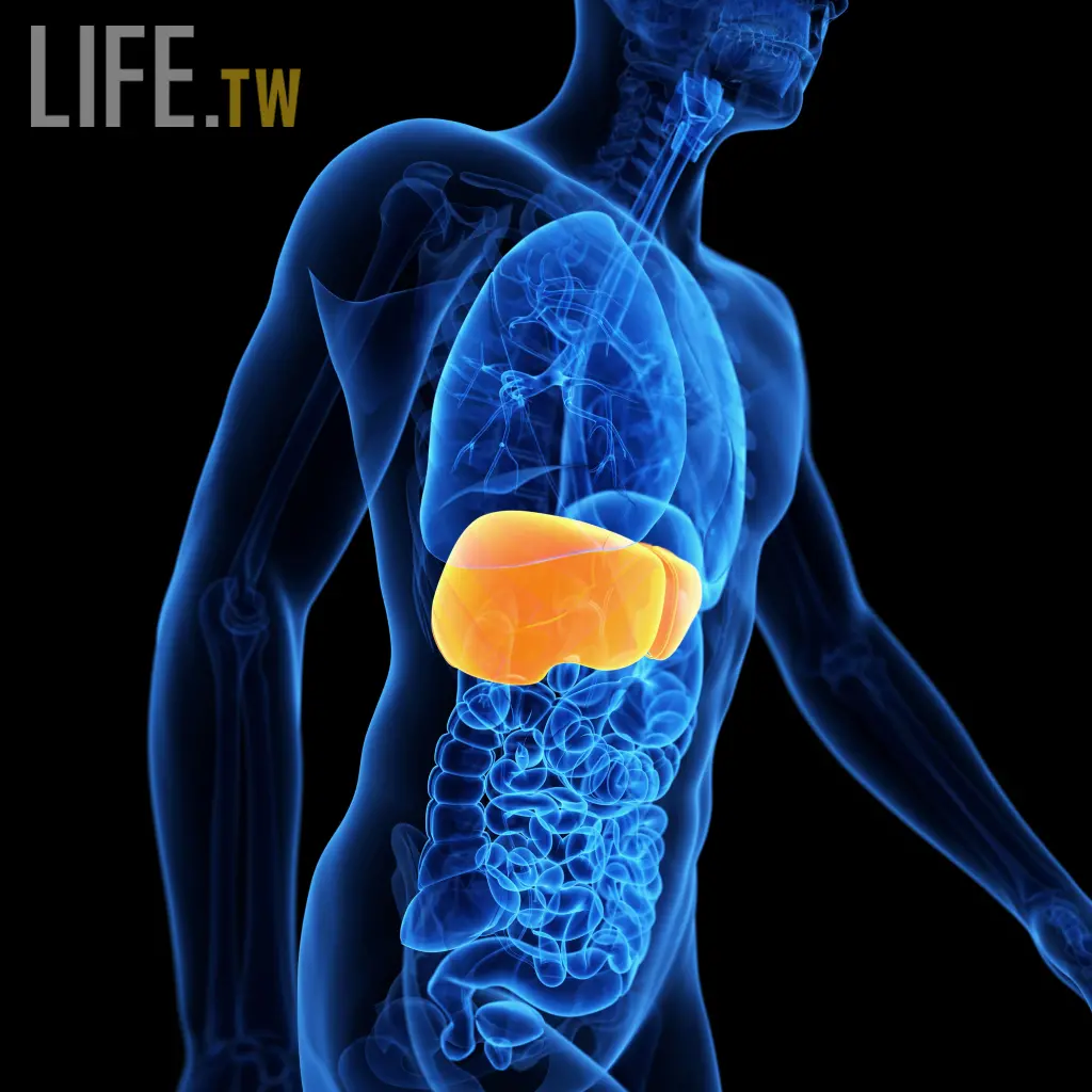 夫妻煮湯愛加「1物」竟害罹患肝癌？營養師曝危險一級致癌物 5食物防肝癌