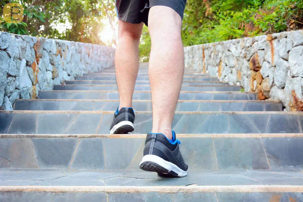 比走路更有效！研究發現：每天爬這個數字的樓梯「心臟病風險」降20％↑