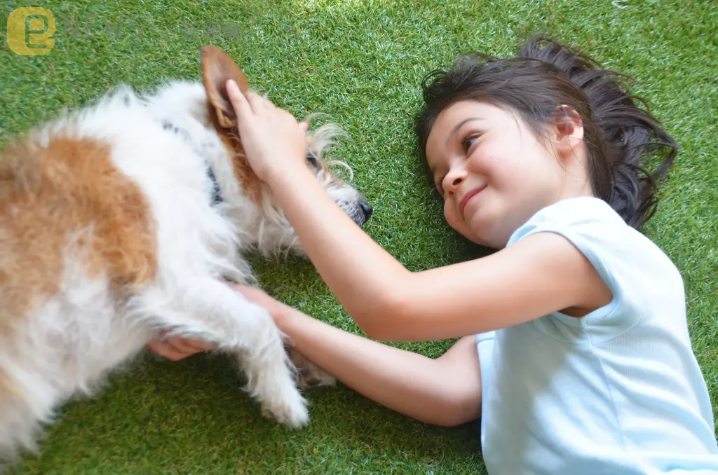 獸醫師曝「寵物生命最後一刻需要的」90％飼主卻不面對　心疼喊：辜負他們的愛