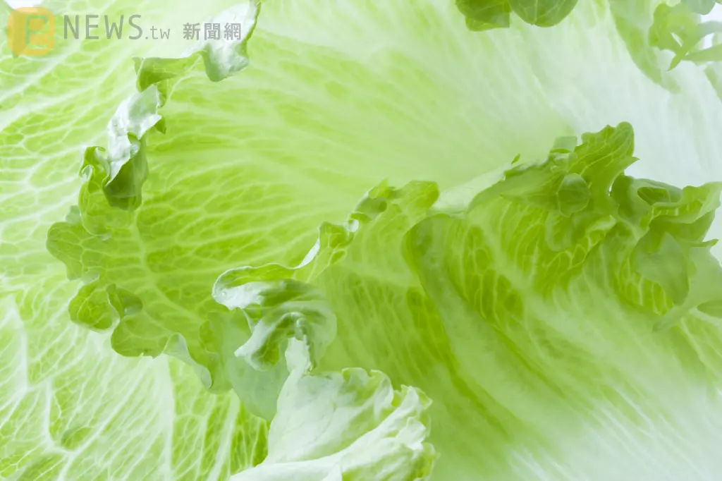 「生菜包肉」竟藏致命危機　中國婦腹痛就醫驚見20cm蛔蟲蠕動