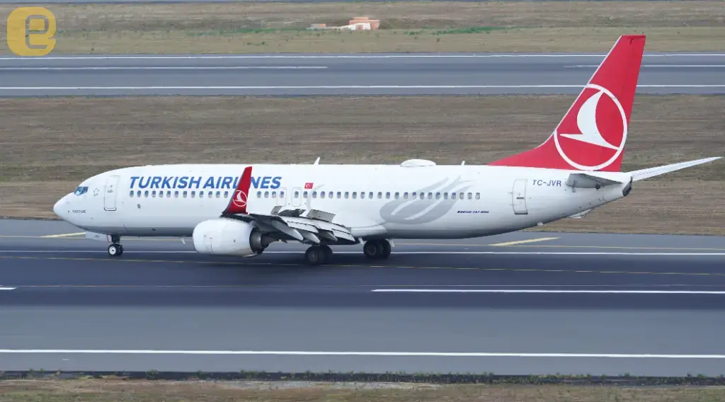 太詭異！土耳其航空乘客高空猝死　事後遺體竟離奇消失